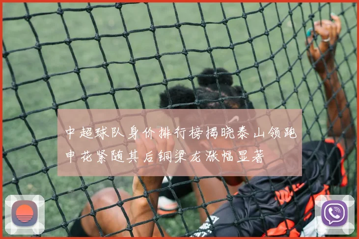 中超球队身价排行榜揭晓泰山领跑申花紧随其后铜梁龙涨幅显著